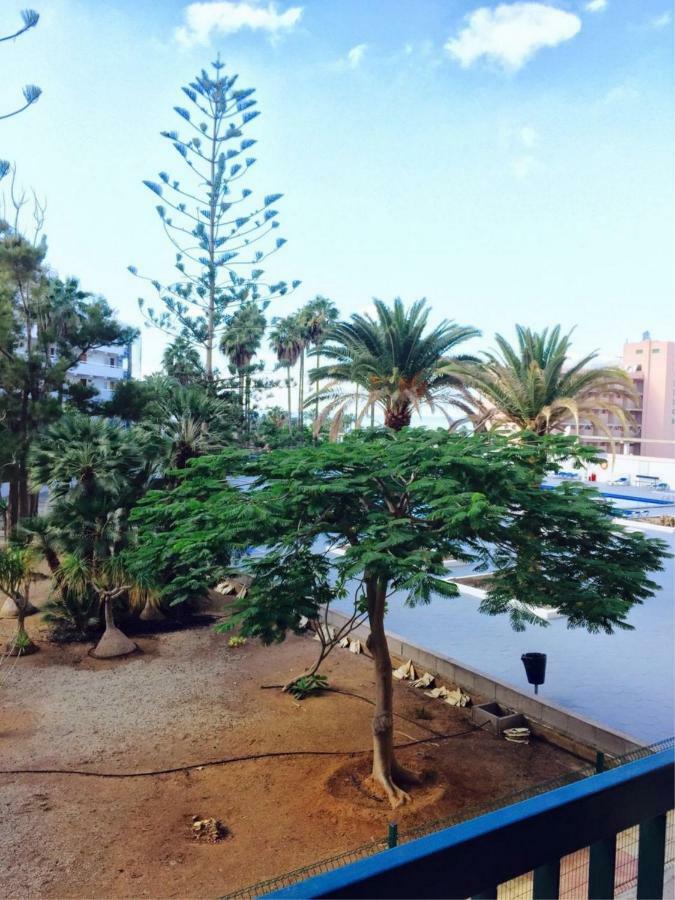Enjoy The Sea And Pool In Playa De Las Americas Exteriör bild